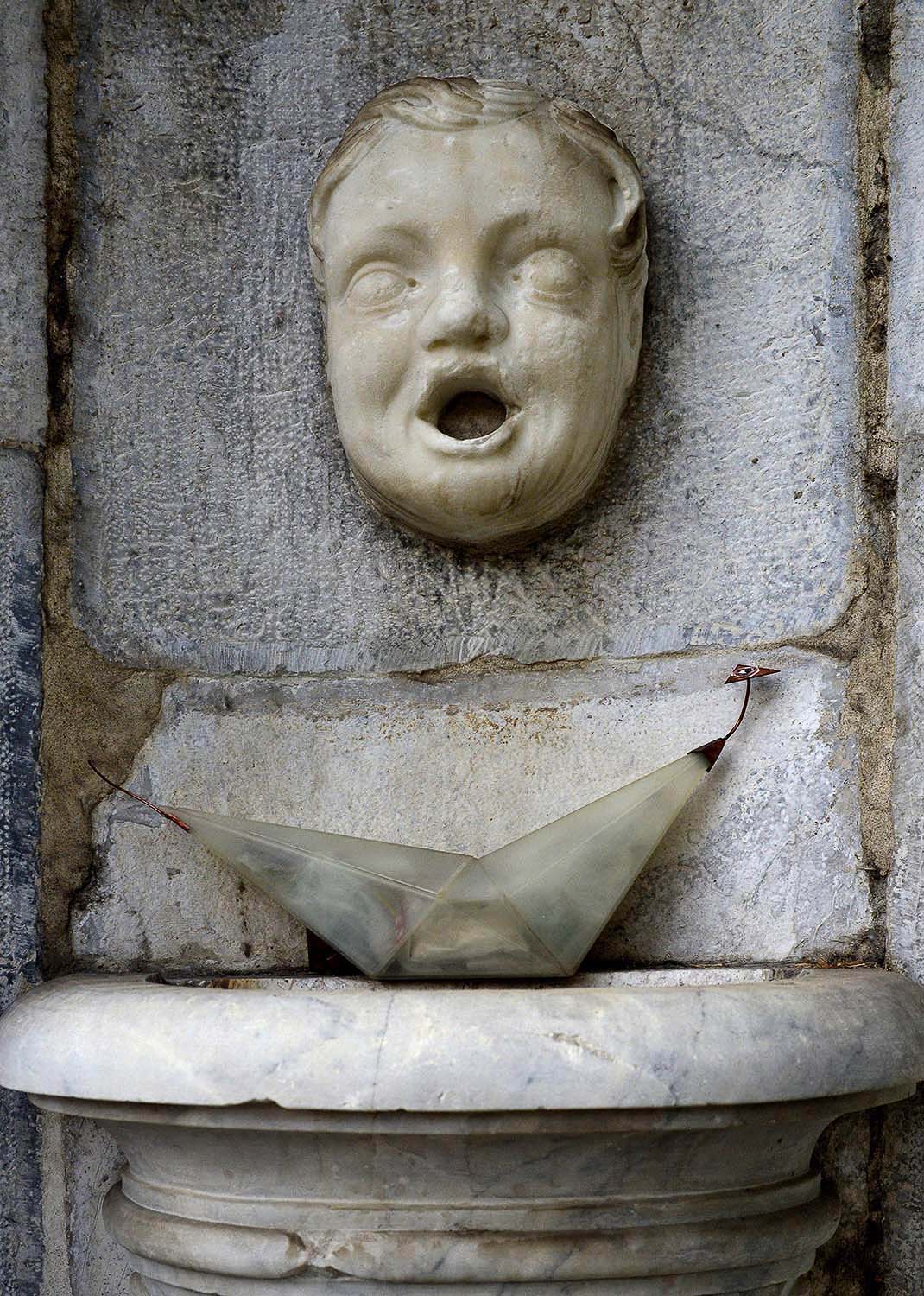 Immagine n.8