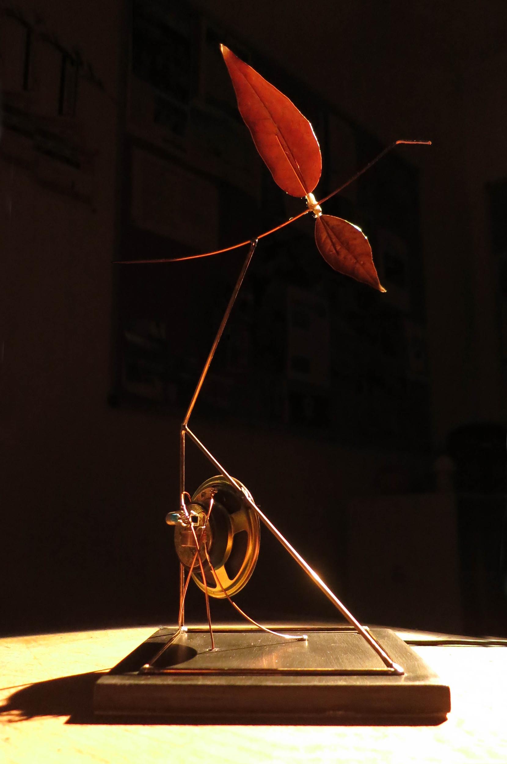 Immagine n.4