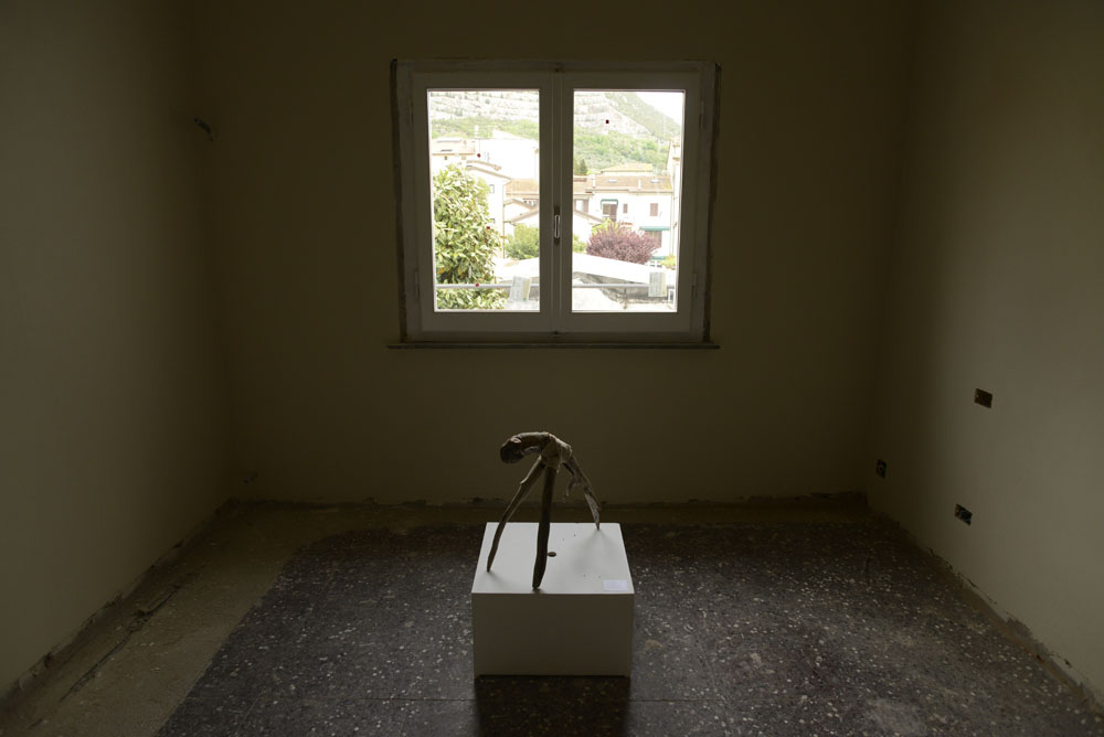 Immagine n.5