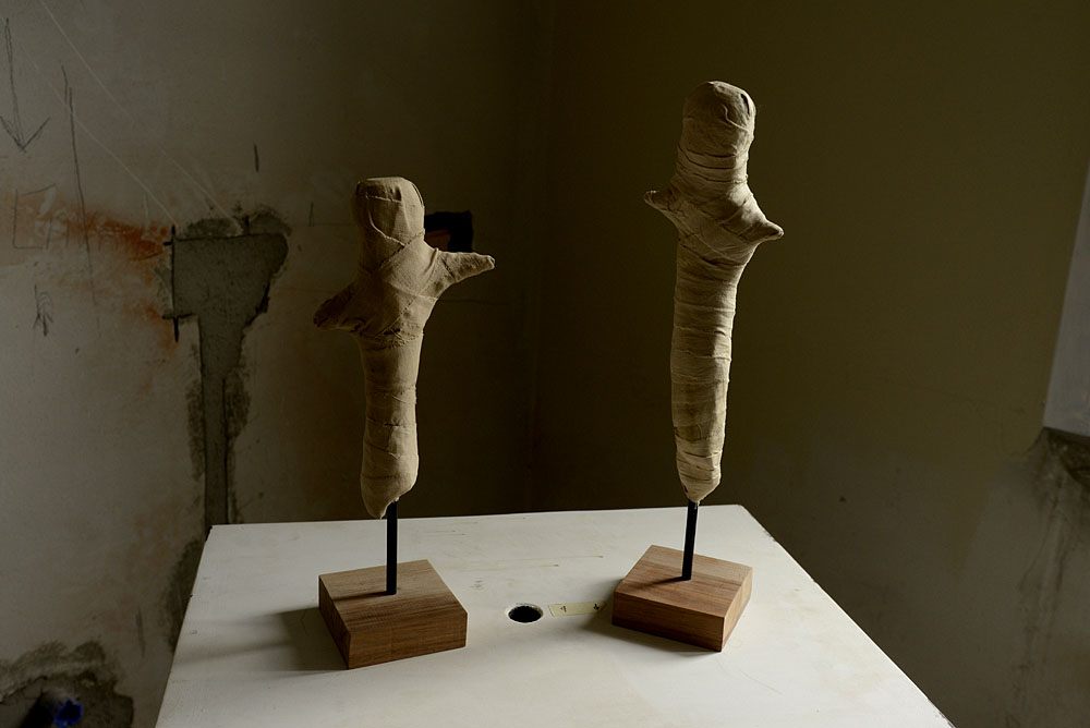 Immagine n.8