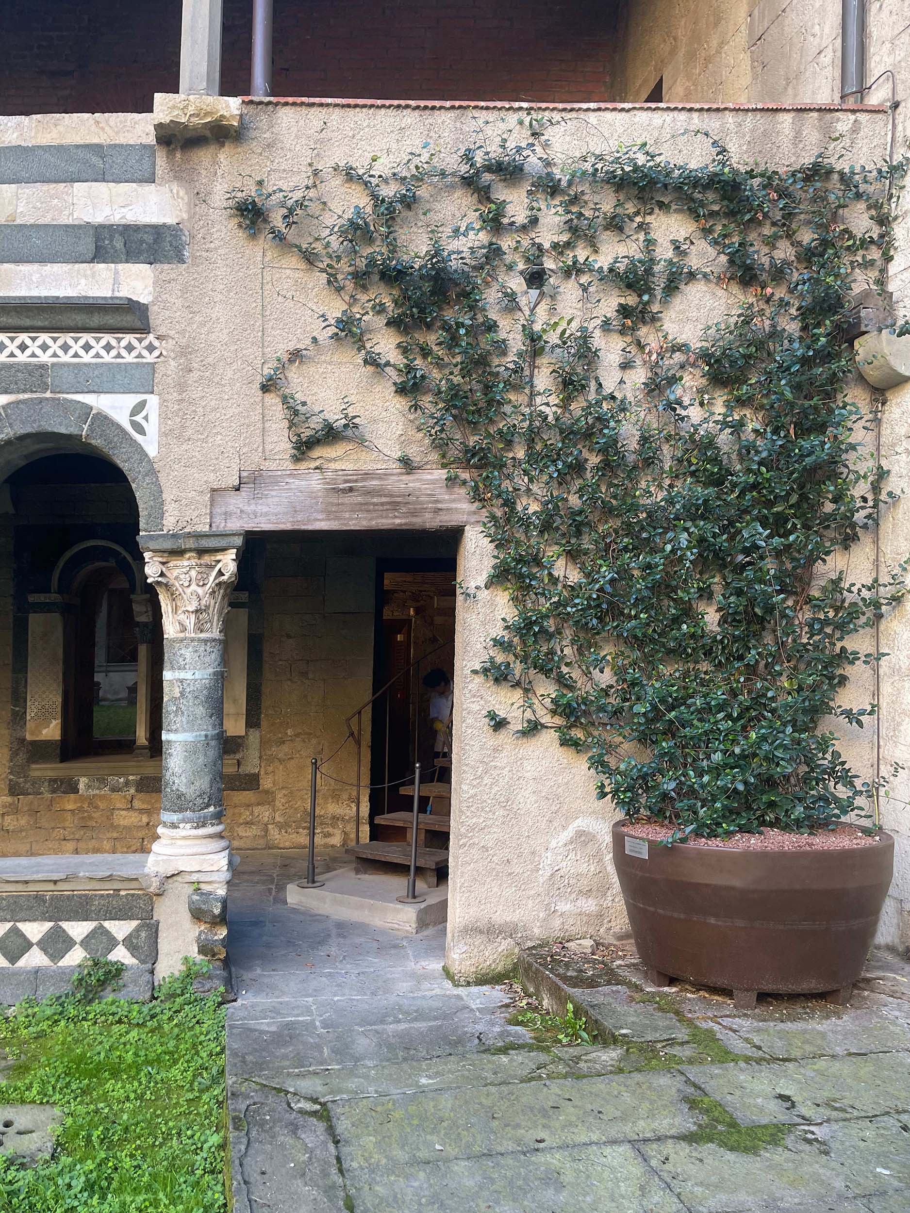 Immagine n.6