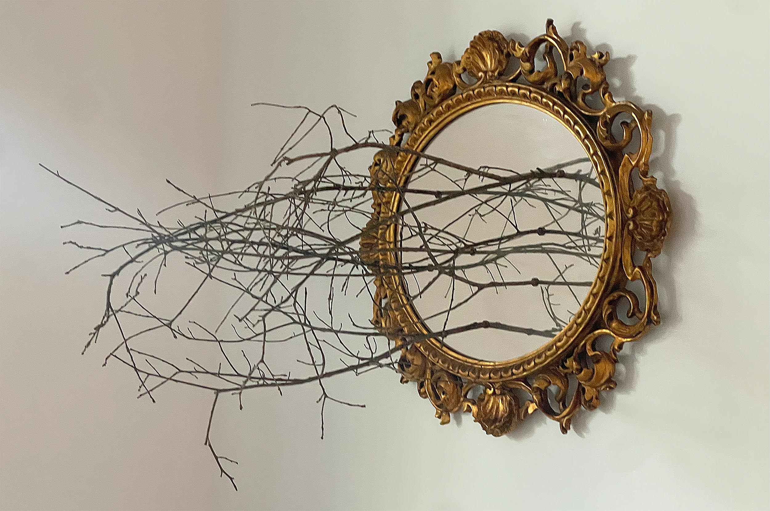 Immagine n.2