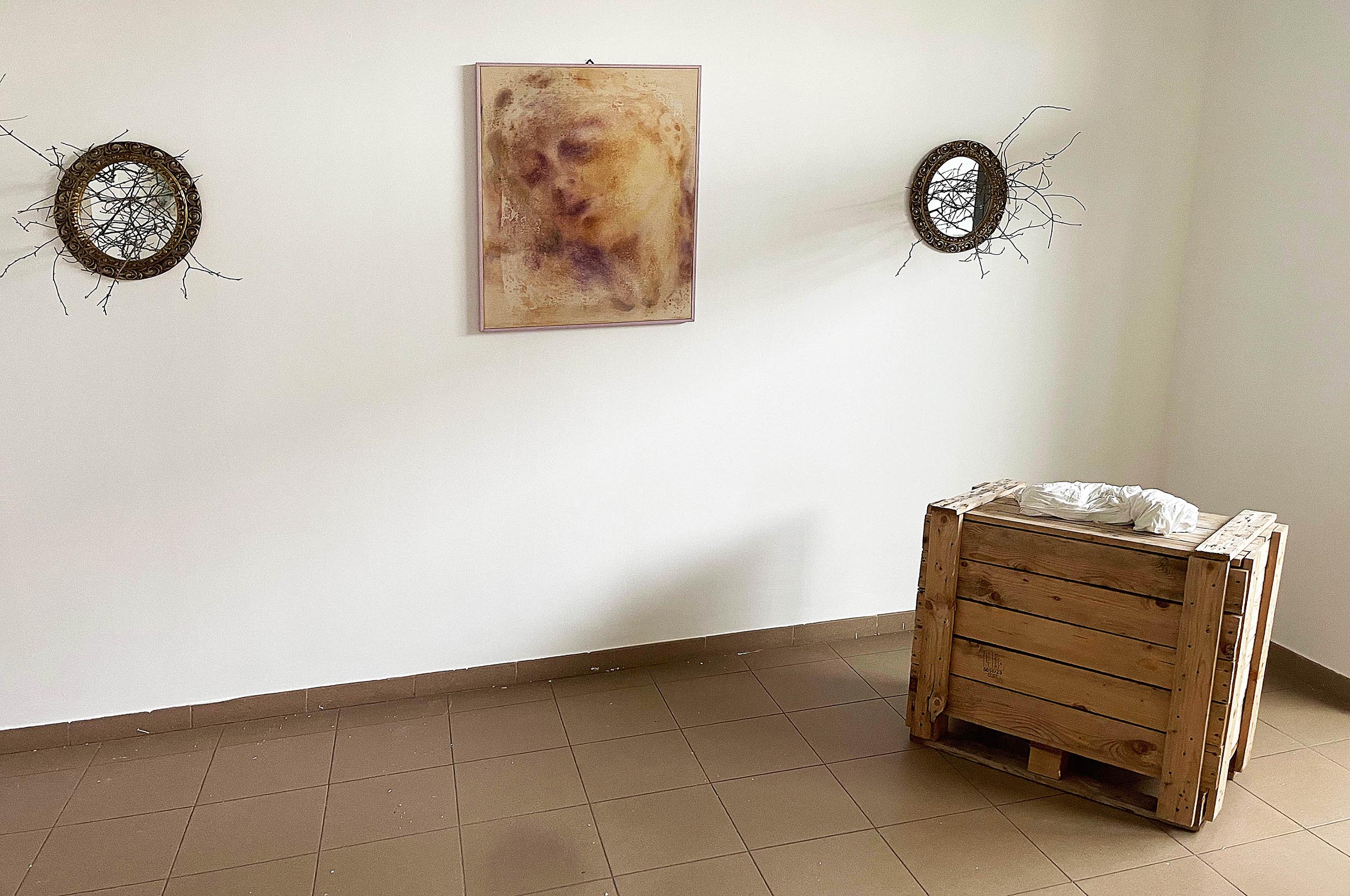 Immagine n.4