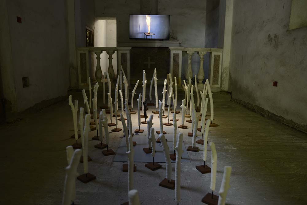 Immagine n.7